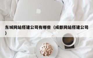 江苏东城网站搭建公司有哪些（成都网站搭建公司）